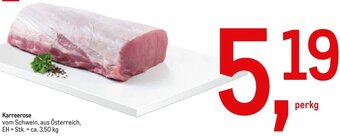 AGM Karreerose  ca. 3,50 kg Angebot