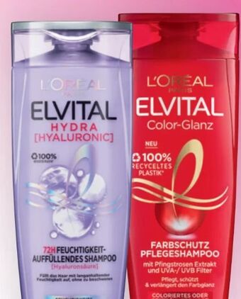 Bipa Elvital shampoo Angebot