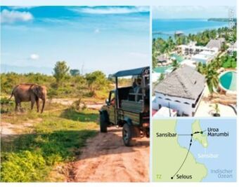 Hofer Tansania-sansibar safari-baden Angebot