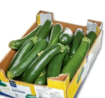 Metro Zucchini Angebot