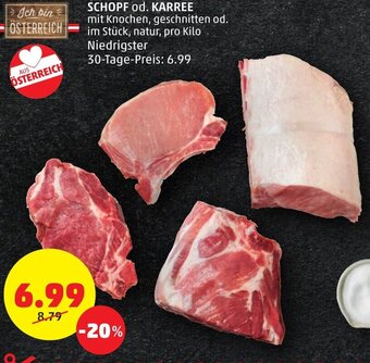 PENNY SCHOPF od. KARREE Angebot