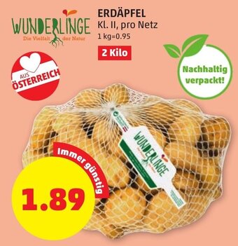 PENNY ERDÄPFEL Angebot
