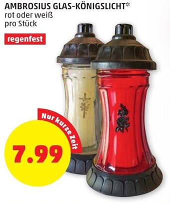 PENNY AMBROSIUS GLAS-KÖNIGSLICHT rot oder weiß pro Stück regenfest Angebot