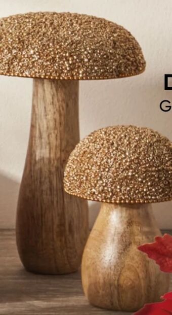 Pepco Deko-pilze Angebot