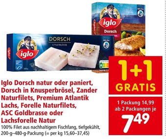 Interspar Iglo Dorsch natur oder paniert, Dorsch in Knusperbrösel, Zander Naturfilets, Premium Atlantik Lachs, Forelle Naturfilets Angebot