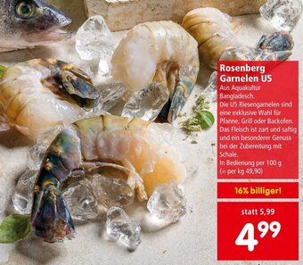 Interspar Rosenberg Garnelen U5 Angebot