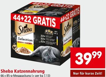 Interspar Sheba Katzennahrung 66x85 g Angebot