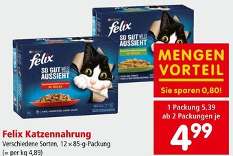 Interspar Felix Katzennahrung 12 x 85-g-Packung Angebot