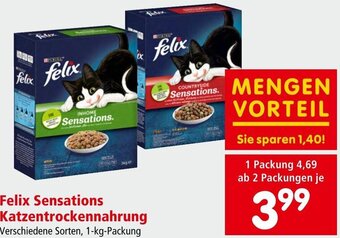 Interspar Felix Sensations Katzentrockennahrung Verschiedene Sorten, 1-kg-Packung Angebot