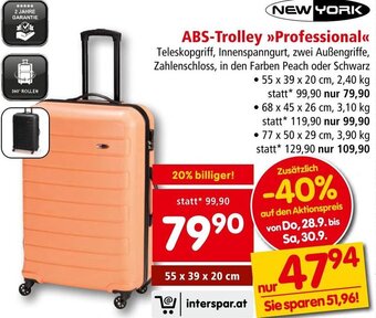 Interspar ABS-Trolley >>Professional<< Angebot