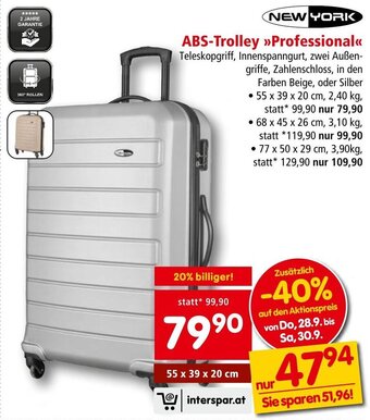 Interspar ABS-Trolley >>Professional<< Angebot