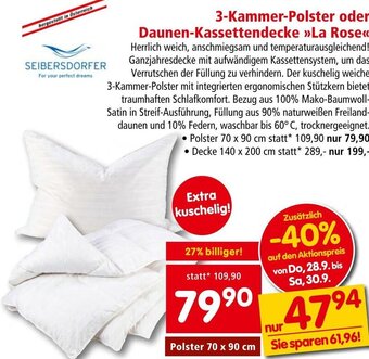 Interspar 3-Kammer-Polster oder Daunen-Kassettendecke >>La Rose<< Angebot