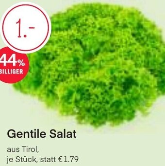 MPreis Gentile Salat Angebot