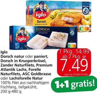 Eurospar Iglo Dorsch natur oder paniert, Dorsch in Knusperbrösel, Zander Naturfilets, Premium Atlantik Lachs, Forelle Naturfilets Angebot