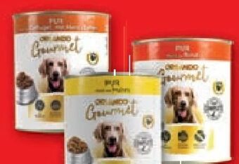 Lidl Gourmet premium hundenassnahrung Angebot