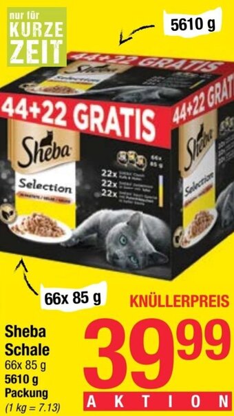 Maximarkt Sheba Schale 66x 85 g 5610 g Packung Angebot