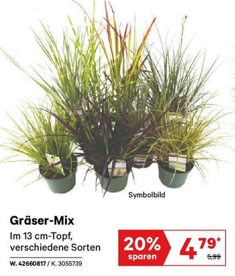 Lagerhaus Gräser-Mix Im 13 cm-Topf, verschiedene Sorten Angebot