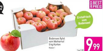 Sutterlüty Bodensee Äpfel vom Weiherhof 5 kg Karton Angebot