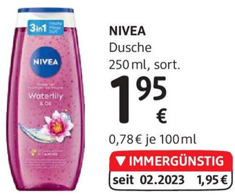 dm NIVEA Dusche 250 ml, sort. Angebot