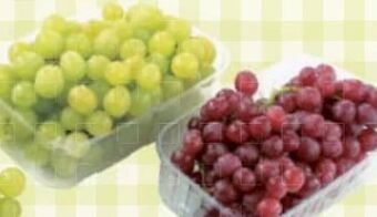 Maximarkt Trauben Angebot