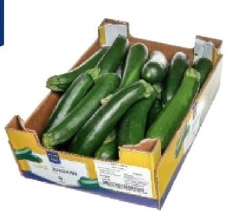 AGM Zucchini Angebot