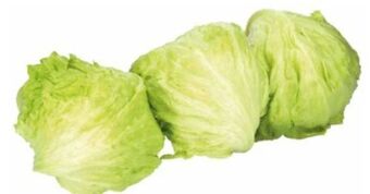 Transgourmet Eisbergsalat Angebot