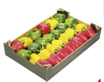 AGM Paprika mix Angebot