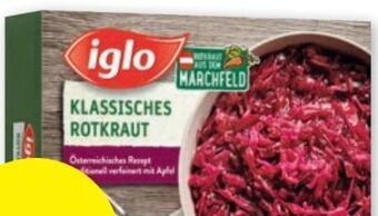 PENNY Rotkraut Angebot
