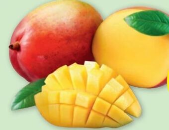 PENNY Mango Angebot