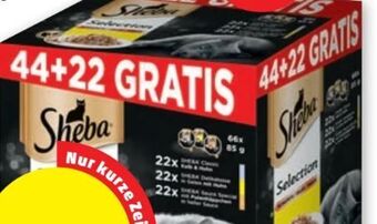 PENNY Selection Angebot