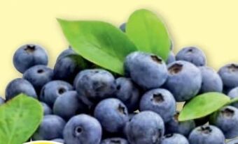 PENNY Heidelbeeren Angebot