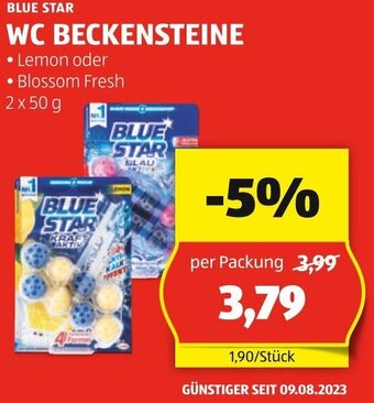Hofer BLUE STAR WC BECKENSTEINE Angebot