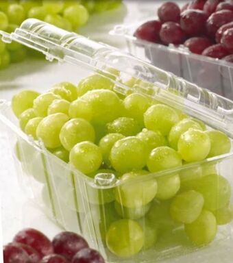 Spar Trauben Angebot