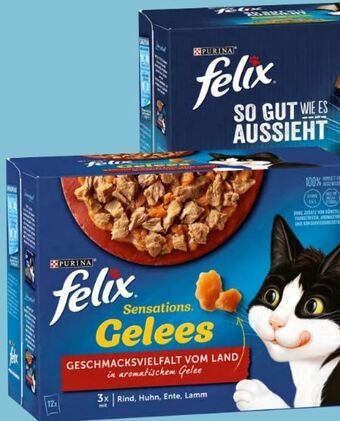Eurospar Felix katzennahrung Angebot