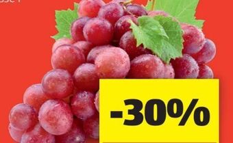 Hofer Premium trauben Angebot