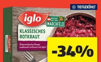 Hofer Rotkraut Angebot