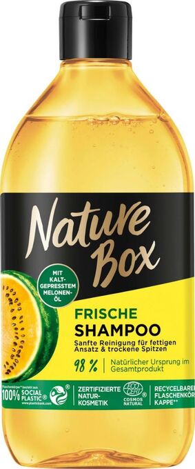dm Shampoo Angebot