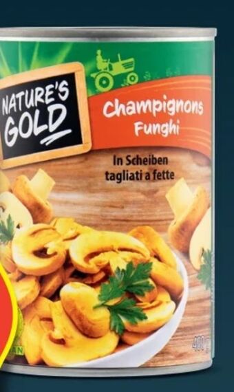 Hofer Champignons Angebot