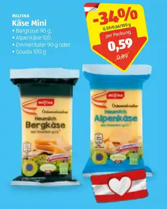 Hofer Käse Mini 100g Angebot