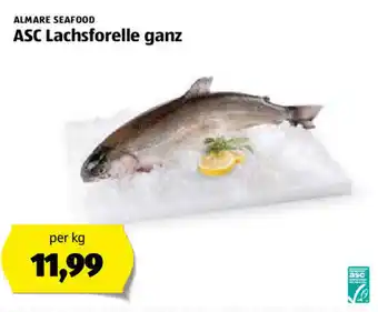 Hofer Asc Lachsforelle Ganz Angebot