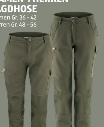 Hofer Damen-jagdhose Angebot