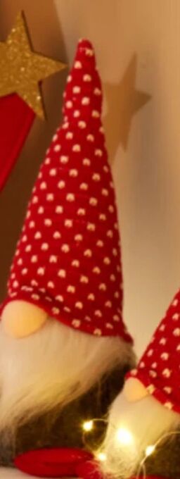 TEDi Wichtel Angebot