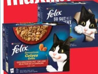 Maximarkt Felix katzennahrung Angebot