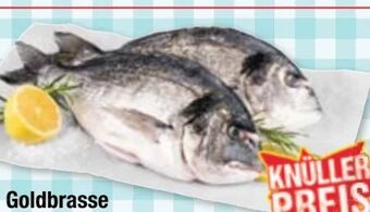 Maximarkt Goldbrasse Angebot