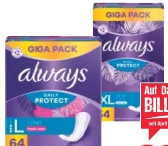 Maximarkt Slipeinlagen Angebot