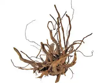 Hornbach Aquariumdekoration finger wurzel small Angebot