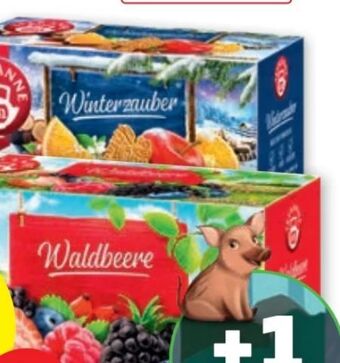 PENNY Früchtegarten tee Angebot