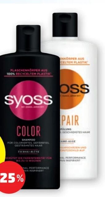 PENNY Shampoo Angebot