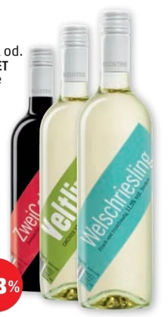 PENNY Welschriesling Angebot