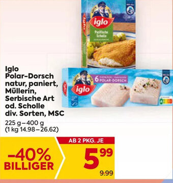 Billa Iglo Polar-Dorsch natur, paniert, Müllerin, Serbische Art od. Scholle div. Sorten, MSC 225g-400g Angebot